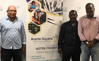Partenariat ARACTE Guyane et Transitions Pro Guyane (2025-2027)